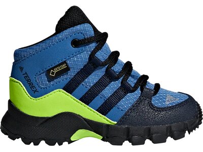 adidas TERREX Mid GTX Schuh Blau