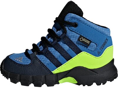 adidas TERREX Mid GTX Schuh Blau