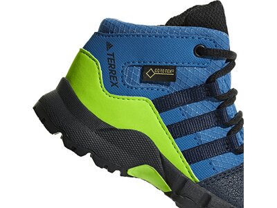 adidas TERREX Mid GTX Schuh Blau