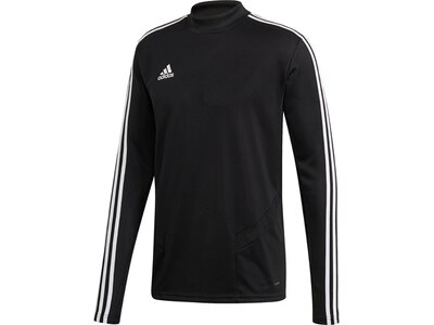 ADIDAS Herren Tiro 19 Trainingsoberteil Schwarz