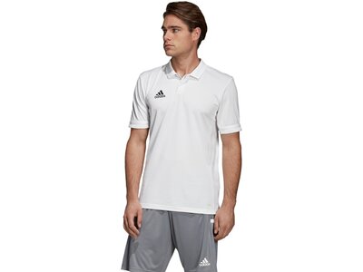 ADIDAS Fußball - Teamsport Textil - Poloshirts Team 19 Poloshirt Grau