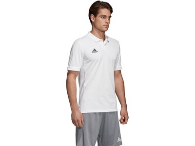 ADIDAS Fußball - Teamsport Textil - Poloshirts Team 19 Poloshirt Grau