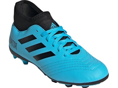 ADIDAS Kinder Fußballschuhe PREDATOR 19.4 S FxG Schwarz