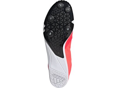 ADIDAS Herren Laufschuhe "Distancestar" Rot