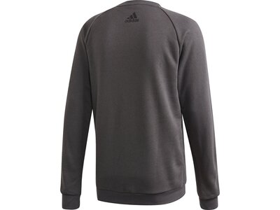 adidas Herren TAN Logo Sweatshirt online kaufen bei ...