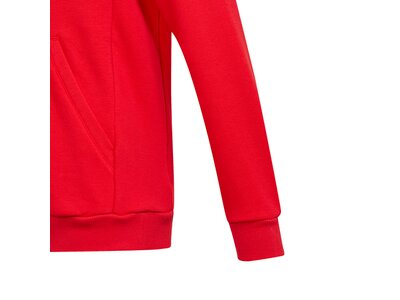 ADIDAS Kinder Kapuzensweat YB MH BOS PO online kaufen bei ...