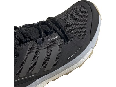 ADIDAS Damen Multifunktionsschuhe TERREX SKYCHASER 2 GTX Silber