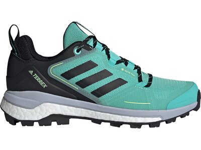 adidas Damen TERREX Skychaser GORE-TEX 2.0 Wanderschuh Schwarz