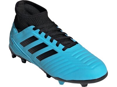 ADIDAS Kinder Fußballschuhe Predator 19.3 FG online kaufen ...