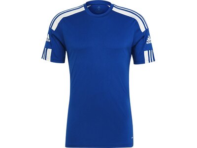 ADIDAS Herren Trikot Squadra 21 Blau