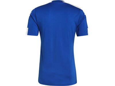 ADIDAS Herren Trikot Squadra 21 Blau