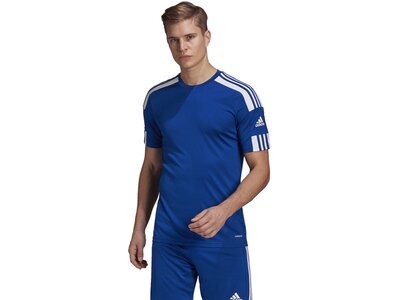 ADIDAS Herren Trikot Squadra 21 Blau