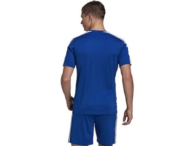 ADIDAS Herren Trikot Squadra 21 Blau