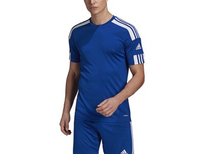 ADIDAS Herren Trikot Squadra 21 Blau