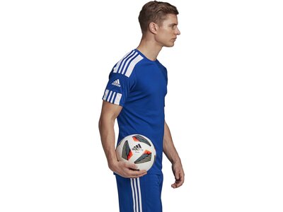 ADIDAS Herren Trikot Squadra 21 Blau