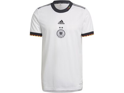 adidas Herren DFB 21/22 Primeblue Heimtrikot Grau