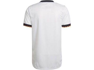 adidas Herren DFB 21/22 Primeblue Heimtrikot Grau
