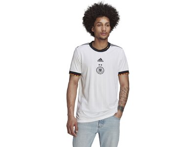 adidas Herren DFB 21/22 Primeblue Heimtrikot Grau