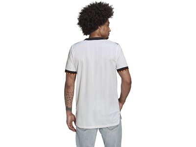 adidas Herren DFB 21/22 Primeblue Heimtrikot Grau