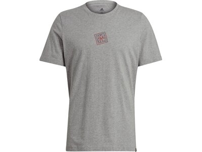 adidas Herren Five Ten Heritage Logo T-Shirt Grau