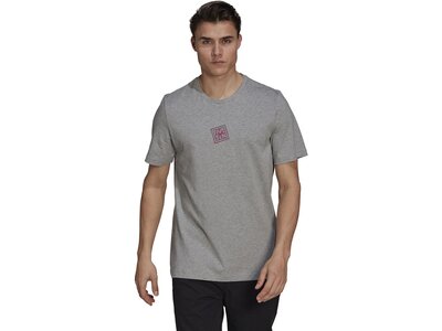 adidas Herren Five Ten Heritage Logo T-Shirt Grau