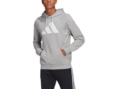 ADIDAS Herren Sweatshirt Silber