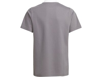 adidas Kinder Tiro 21 Poloshirt Grau