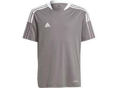 adidas Kinder Tiro 21 Trainingstrikot Grau
