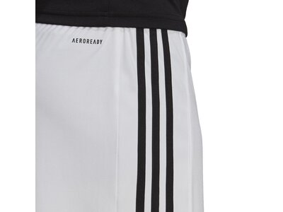 ADIDAS Herren Teamhose Squadra 21 Grau