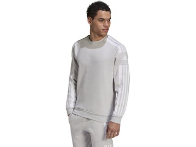 ADIDAS Herren Sweatshirt Squadra 21 Silber