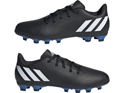 ADIDAS Kinder Fussball-Rasenschuhe PREDATOR EDGE.4 FxG J Schwarz