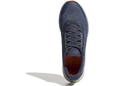 ADIDAS Herren Trailrunningschuhe TERREX AGRAVIC FLOW 2 Grau