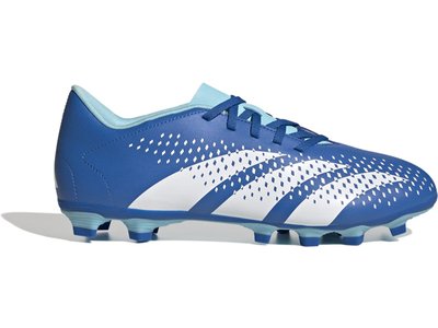 ADIDAS Herren Fussball-Rasenschuhe Predator Accuracy.4 FxG