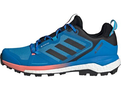 adidas Herren TERREX Skychaser GORE-TEX 2.0 Wanderschuh Blau