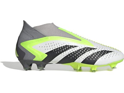 ADIDAS Herren Fussball-Rasenschuhe PREDATOR ACCURACY+ FG Silber