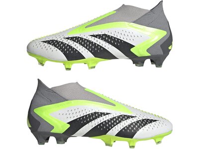 ADIDAS Herren Fussball-Rasenschuhe PREDATOR ACCURACY+ FG Silber