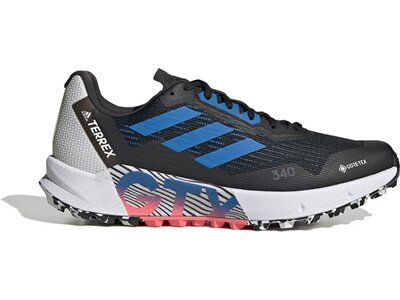 ADIDAS Herren Trailrunningschuhe TERREX AGRAVIC FLOW 2 GTX Schwarz