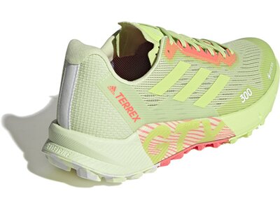 ADIDAS Damen Trailrunningschuhe TERREX AGRAVIC FLOW 2 GTX W Braun