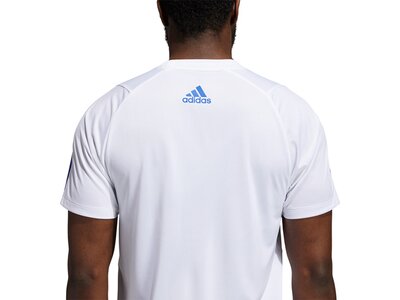 ADIDAS Herren Shirt Herren T-Shirt FL 3 Bar Grau