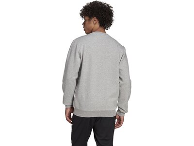 ADIDAS Herren Sweatshirt Essentials Fleece Grau