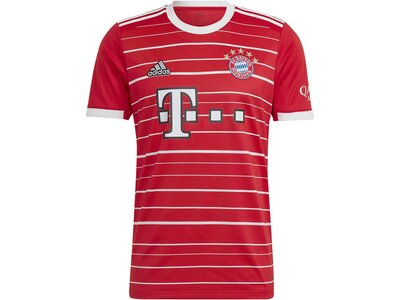 adidas Herren FC Bayern München 22/23 Heimtrikot Rot