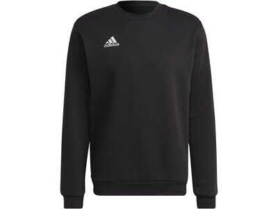 ADIDAS Herren Sweatshirt Entrada 22 (normal & lang) Schwarz