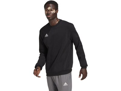 ADIDAS Herren Sweatshirt Entrada 22 (normal & lang) Schwarz