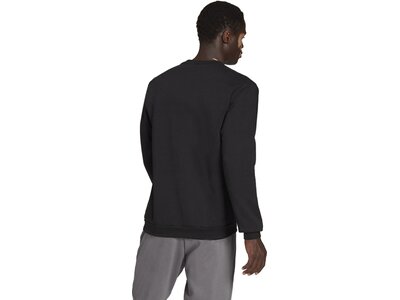 ADIDAS Herren Sweatshirt Entrada 22 (normal & lang) Schwarz