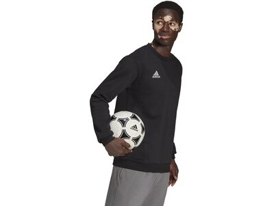 ADIDAS Herren Sweatshirt Entrada 22 (normal & lang) Schwarz