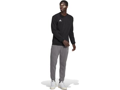 ADIDAS Herren Sweatshirt Entrada 22 (normal & lang) Schwarz