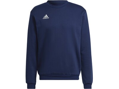 ADIDAS Herren Sweatshirt Entrada 22 (normal & lang) Blau