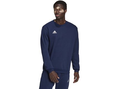 ADIDAS Herren Sweatshirt Entrada 22 (normal & lang) Blau