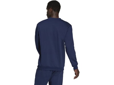 ADIDAS Herren Sweatshirt Entrada 22 (normal & lang) Blau