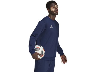 ADIDAS Herren Sweatshirt Entrada 22 (normal & lang) Blau
